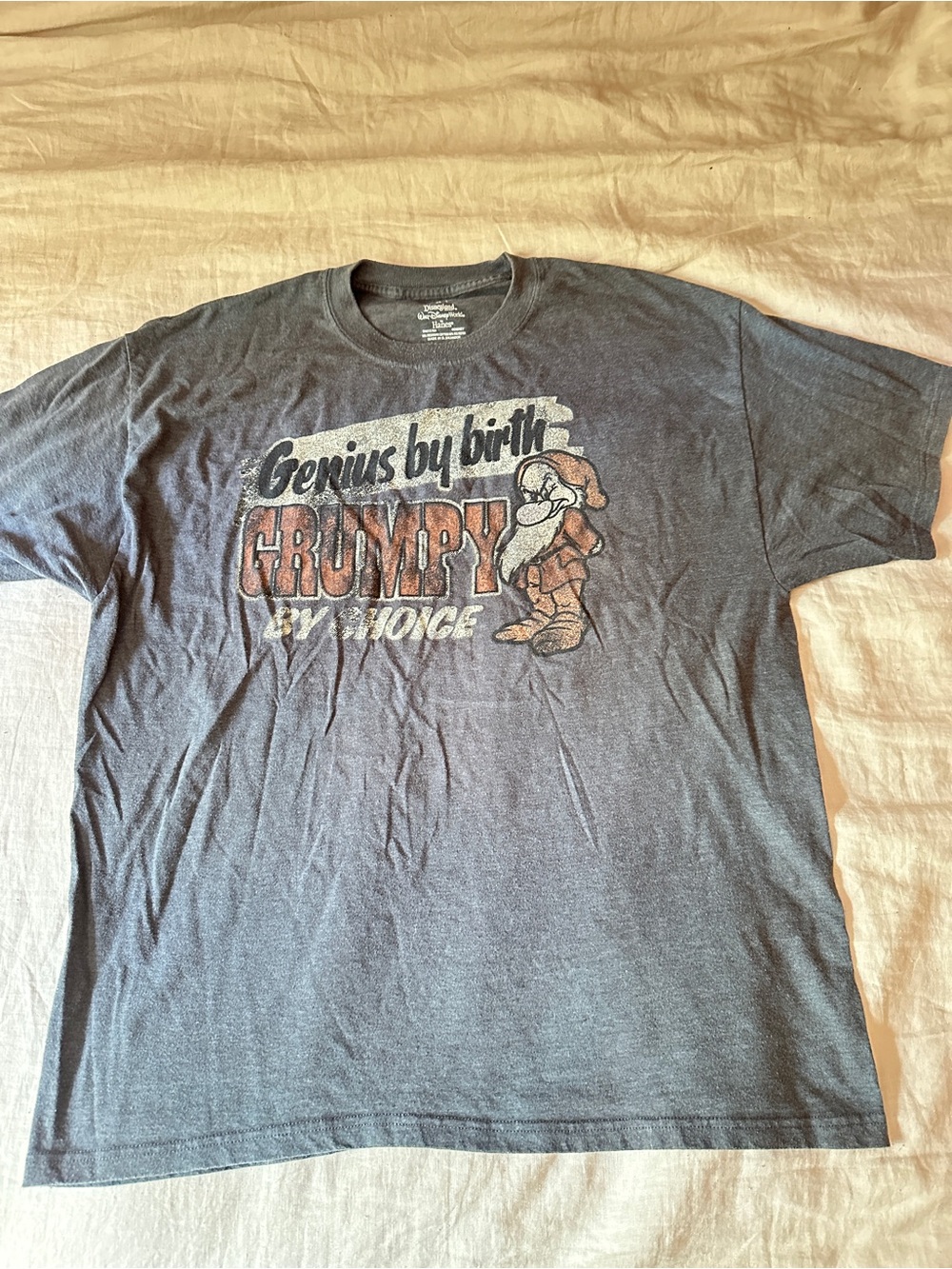 Disneyland Genius by Birth Grumpy by Choice Graphic Tee in Gray XL